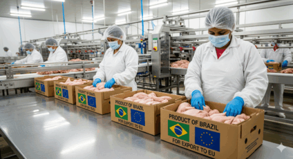 Área Livre de Gripe Aviária: O reconhecimento da UE reforça a segurança e competitividade do frango brasileiro no mercado global. Foto: Gerada por IA.