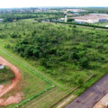 Três Lagoas atrai novas indústrias e projeta expansão econômica