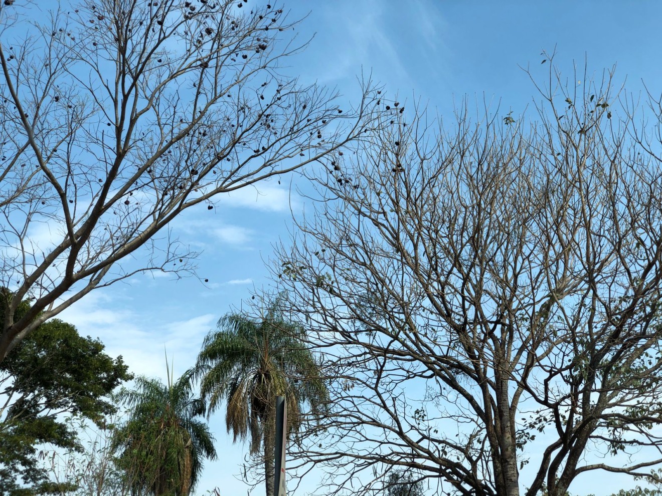 Em Campo Grande a máxima prevista é de 36 °C - Foto: Arquivo/ RCN67
