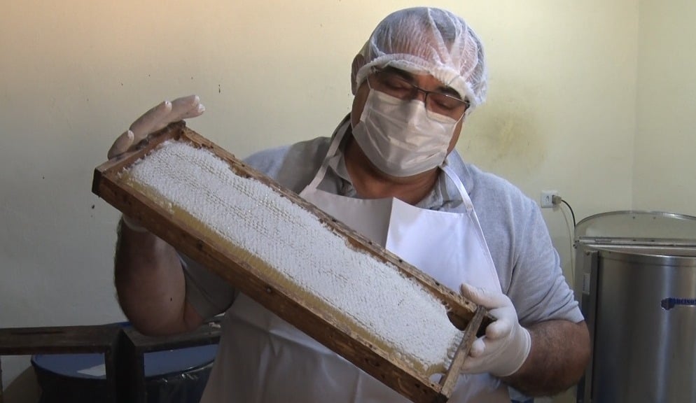 Entre os produtores que ajudam a explicar esse crescimento está o apicultor Elizeu Lima de Araújo. Foto: Reprodução/TVC HD.