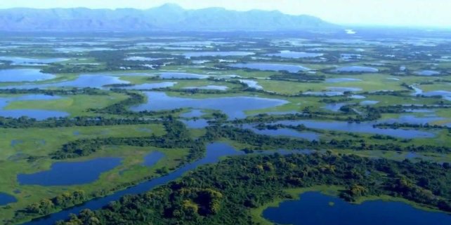 Evento destacará relação entre o Pantanal e os oceanos - Foto: Reprodução/Fundação de Turismo de MS