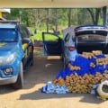 Motorista é preso com 340 kg de maconha na BR-262