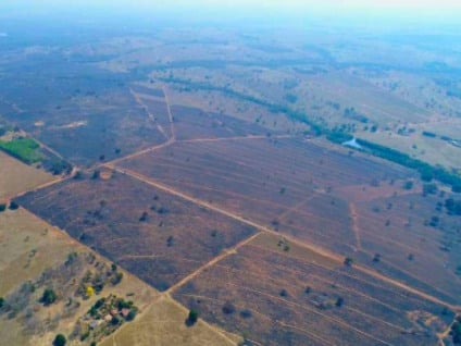 Imagem aérea da região que pegou fogo - Foto: Divulgação/MPMS