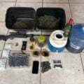 Policiais Civis de MS e SP prendem homem em posse de derivados de maconha e arma de fogo em Três Lagoas