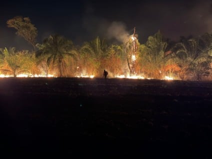 Fogo avança há quase 20 dias em unidade de conservação e já destruiu 30% da área total - Foto: Divulgação/Prefeitura de Alcinópolis