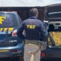 Droga era transportada em um carro com registro de roubo em Goiás - Foto: Divulgação/PRF