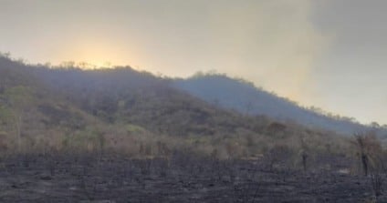 Área autuada pela Polícia Militar Ambiental - Foto: Reprodução/ PMA
