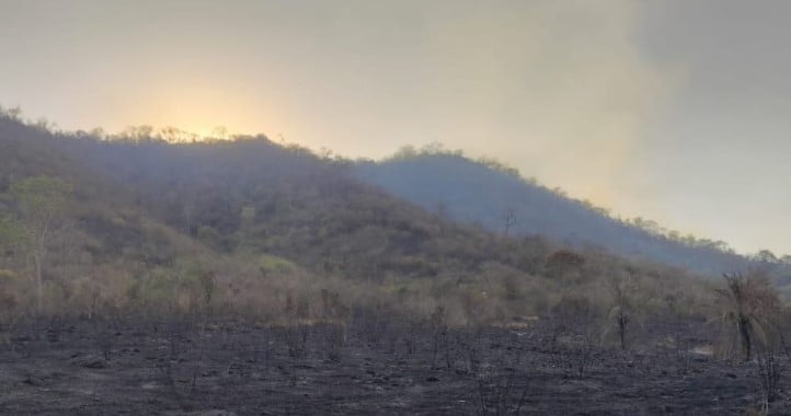 Área autuada pela Polícia Militar Ambiental - Foto: Reprodução/ PMA