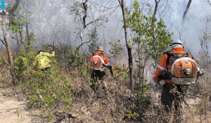 Brigadistas combatendo o fogo na Serra do Amolar - Foto: Reprodução/ Prevfogo