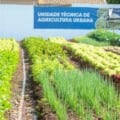 Parte dos alimentos é utilizada em oficinas culinárias, com aproveitamento de cascas e partes não convencionais - Reprodução/Agência de Notícias de MS