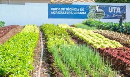 Parte dos alimentos é utilizada em oficinas culinárias, com aproveitamento de cascas e partes não convencionais - Reprodução/Agência de Notícias de MS