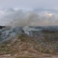 Mais de 14 mil hectares foram afetados pelo incêndio - Foto: Reprodução/ IHP 