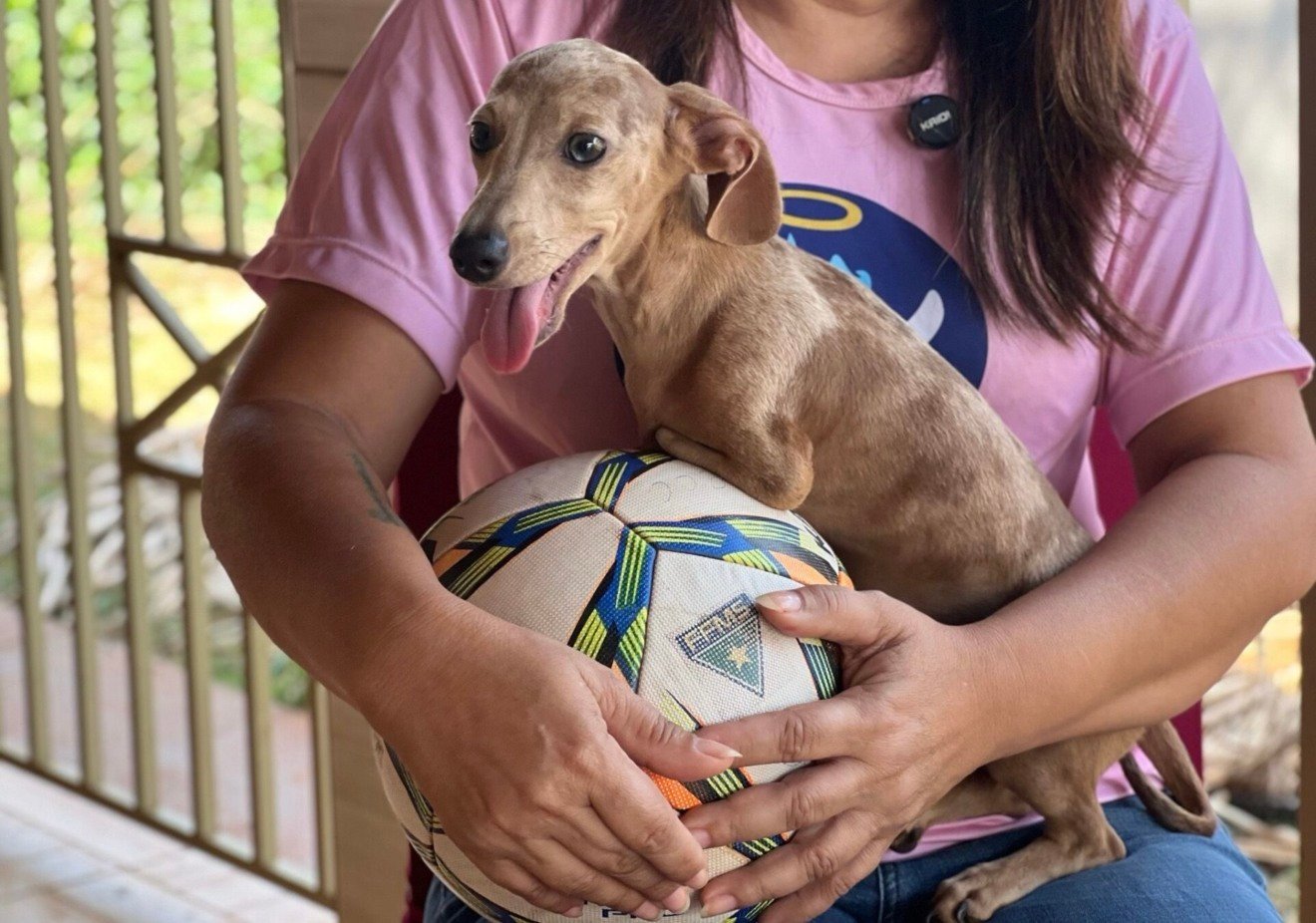 Ação será realizada em parceria com a ONG Anjos da Dani - Foto: Divulgação/Comercial