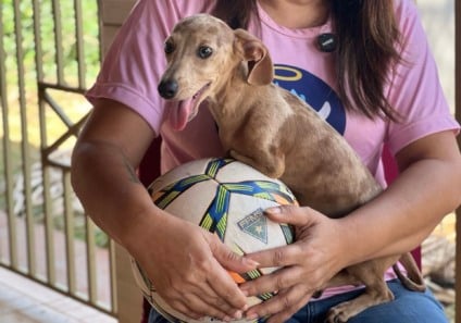 Ação será realizada em parceria com a ONG Anjos da Dani - Foto: Divulgação/Comercial
