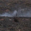 Incêndio no interior de SP agrava queimadas em Três Lagoas