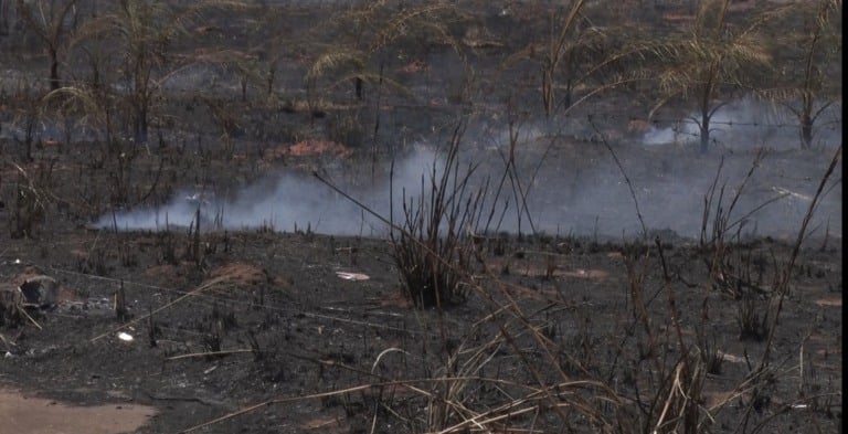 Incêndio no interior de SP agrava queimadas em Três Lagoas