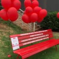 Banco Vermelho é símbolo internacional de combate à violência contra a mulher - Foto: Duda Schindler/RCN 67