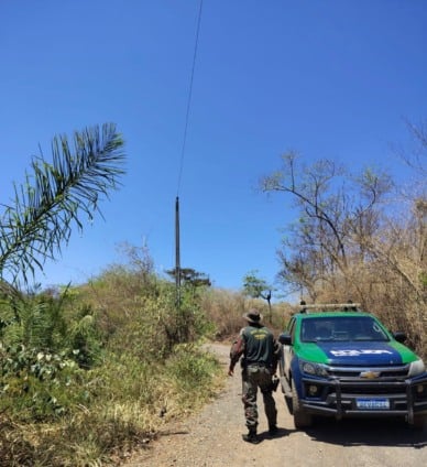 Fogo começou após rompimento de cabo elétrico - Foto: Divulgação/PMA