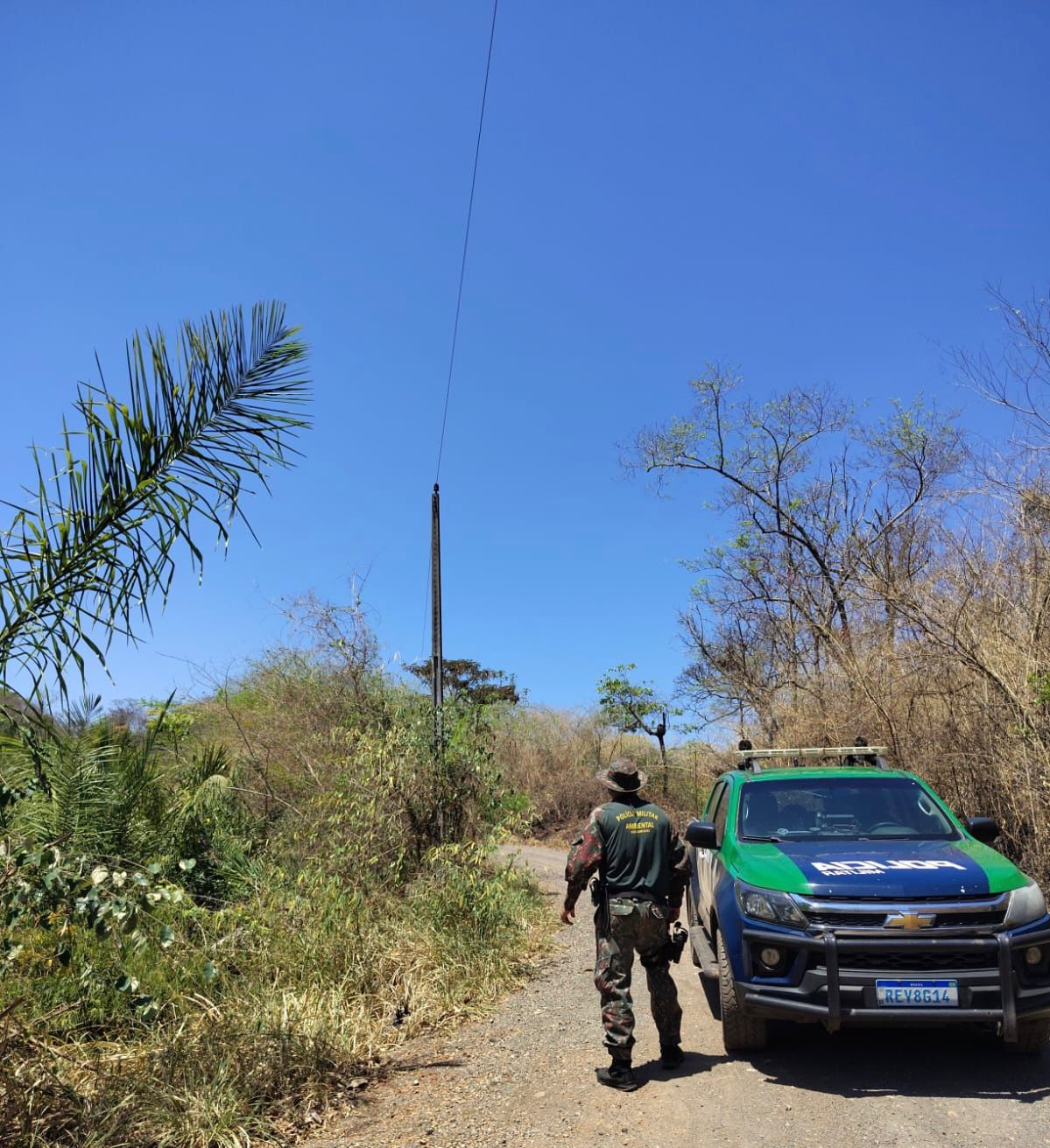 Fogo começou após rompimento de cabo elétrico - Foto: Divulgação/PMA