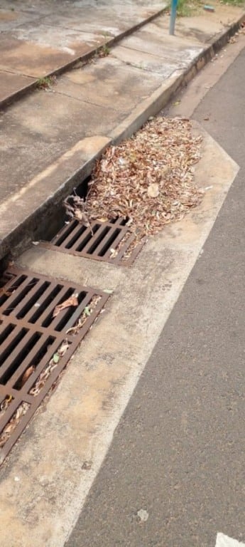 Questões da nossa urbanização
