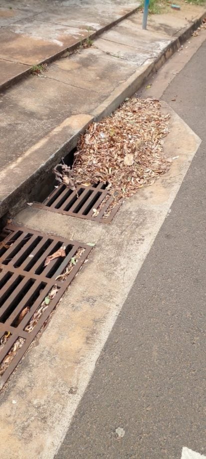 Editorial aborda questões urbanas de Três Lagoas que precisam ser mudadas, como a população parar de jogar lixo em bueiros - Foto: Divulgação Editorial aborda questões urbanas de Três Lagoas que precisam ser mudadas, como a população parar de jogar lixo em bueiros - Foto: Divulgação