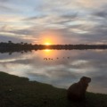 Três Lagoas tem semana de madrugadas frias e tardes quentes, sem previsão de chuva