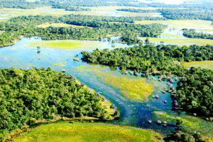 Mato Grosso do Sul, 48 anos: das lutas pela Divisão até a consolidação da economia