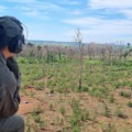 Desde a criação da Operação Nova Aliança, mais de 44 mil toneladas de maconha já foram erradicadas em ações conjuntas. (Foto: Arquivo/PF)