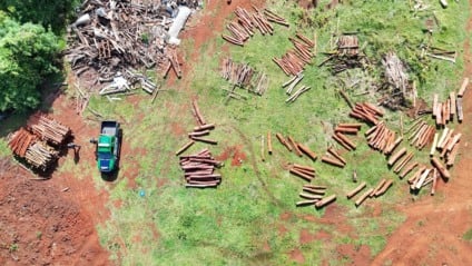 Diante da infração, que caracteriza desmatamento e exploração de vegetação nativa em área de proteção permanente, o responsável foi autuado administrativamente no valor de R$ 5.000,00. (Divulgação PMA)