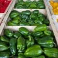 Pimentão verde teve a maior queda entre os hortifrútis - Foto: Divulgação/Ceasa-MS