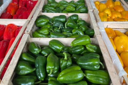 Pimentão verde teve a maior queda entre os hortifrútis - Foto: Divulgação/Ceasa-MS