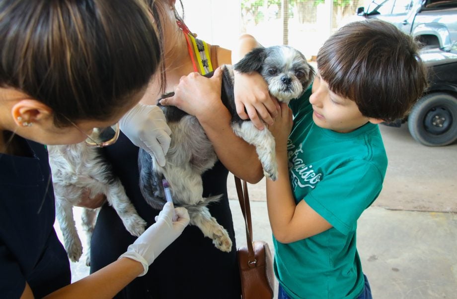 A ação teve como objetivo principal proteger os animais e a população contra a raiva, uma doença grave e que pode ser transmitida ao ser humano. Foto: Divulgação. A ação teve como objetivo principal proteger os animais e a população contra a raiva, uma doença grave e que pode ser transmitida ao ser humano. Foto: Divulgação.