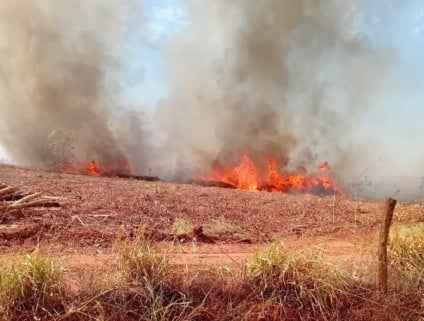 Na região da Costa Leste foram aplicados mais de R$ 30 milhões em multas (Foto: Divulgação)
