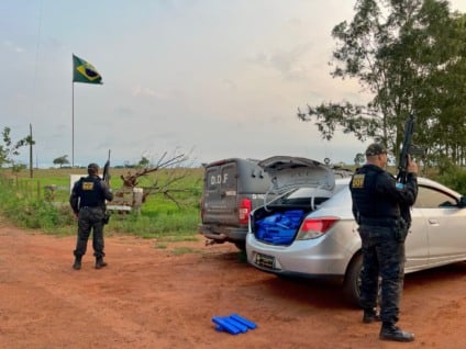 Droga foi avaliada em R$ 2 milhões / Foto: Divulgação/DOF