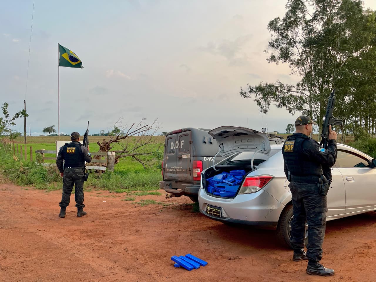 Droga foi avaliada em R$ 2 milhões / Foto: Divulgação/DOF