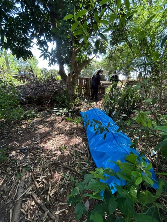 Corpo da vítima estava em uma área de matagal próxima ao Córrego do Touro - Foto: Divulgação/PCMS