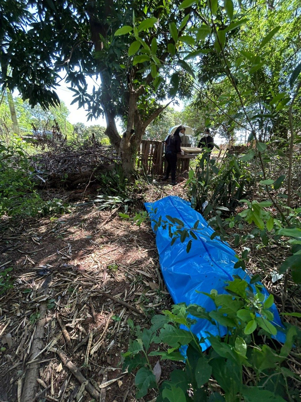 Corpo da vítima estava em uma área de matagal próxima ao Córrego do Touro - Foto: Divulgação/PCMS