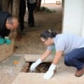 Saúde amplia ações e campanhas para prevenção à acidentes com animais peçonhentos em Três Lagoas