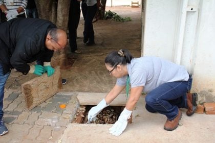 Saúde amplia ações e campanhas para prevenção à acidentes com animais peçonhentos em Três Lagoas