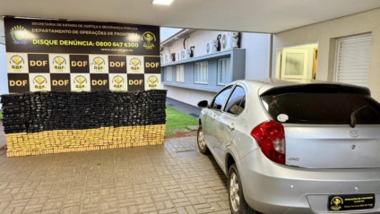 Droga apreendida foi avaliada em R$ 1,7 milhão / Foto: DOF/Divulgação 