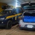PRF de Três Lagoas apreende 318 quilos de maconha e prende foragido com carro furtado