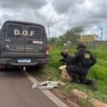 A ação ocorreu na MS-164, próximo ao Posto Fiscal Aquidabã, em Ponta Porã / Foto: DOF/Divulgação