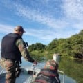 Período de defeso no Rio Paraná começa em 1º de novembro e proíbe pesca durante a Piracema
