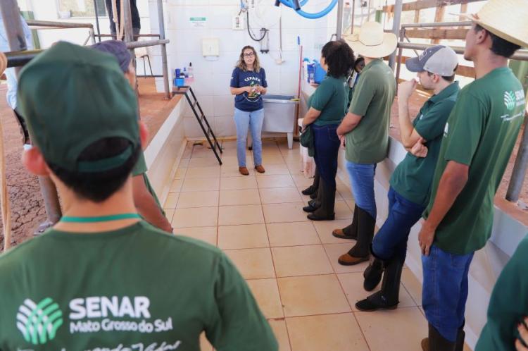 s cursos são ofertados Cursos são ofertados nas modalidades presencial e semipresencial - Foto: Reprodução/ Senar