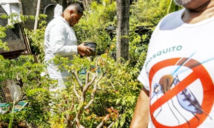 Três Lagoas registra 435 casos de dengue