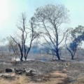 Três Lagoas registra 108 ocorrências de incêndios em vegetação neste ano