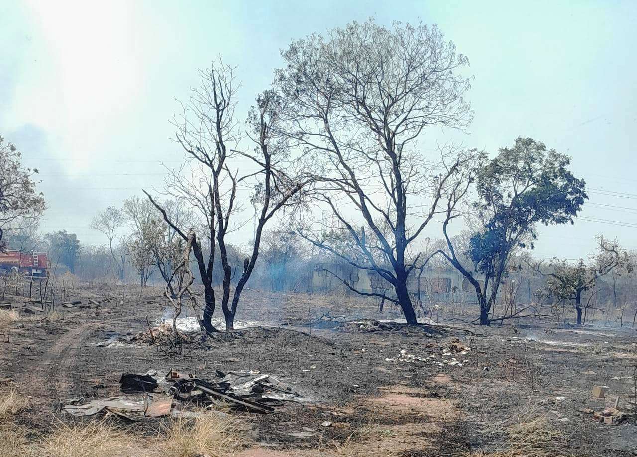 Área de mata da Cascalheira é um dos locais com registrados de incêndios neste ano - Foto: Divulgação.