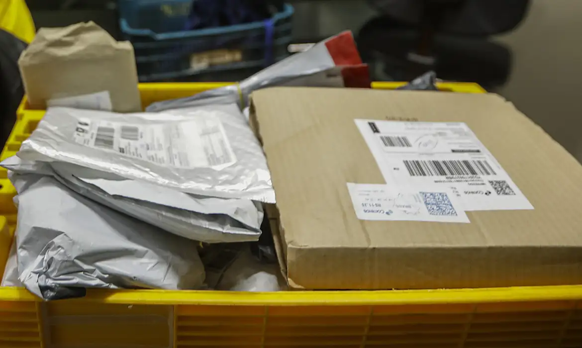 Após o início da taxação, houve queda imediata de 43% nas importações de bens de consumo - Foto: Joédson Alves/Agência Brasi