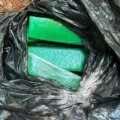 Condenados em Três Lagoas por esconder quase 40 quilos de maconha em área da UFMS