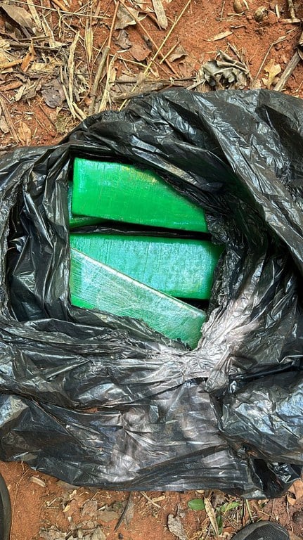 Dupla é condenada em Três Lagoas por esconder quase 40 quilos de maconha em área da UFMS